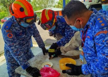 ANGGOTA APM Muallim merawat luka di kepala ular tedung selar yang ditangkap dalam operasi di sebuah rumah di Kampung Naran, Tanjung Malim, Perak, hari ini.