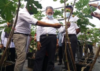 MUSTAPA Mohamed meninjau tapak Projek Gedung Makanan Negara (GMN) di Felda Sungai Tengi Selatan, Kuala Kubu Bharu di sini, petang tadi.