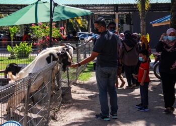 ORANG ramai berkunjung ke Nabila Agrofarm dekat Kampung Pantai, Seremban, Negeri Sembilan, semalam. - UTUSAN/MUHAMMAD IZZAT TERMIZIE