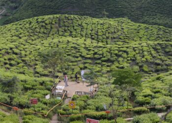 CAMERON Highlands di Pahang dinobatkan antara 10 bandar paling bahagia di Malaysia bagi tahun 2024.