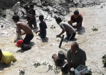 SEBAHAGIAN peserta bermandi lumpur untuk menangkap ikan di Bendang Tok Ajam, Pasir Puteh hari ini.-UTUSAN/ TOREK SULONG