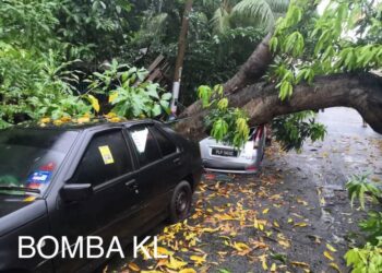 KEADAAN dua kereta yang dihempap pokok dalam kejadian di Desa Setapak, pagi tadi.