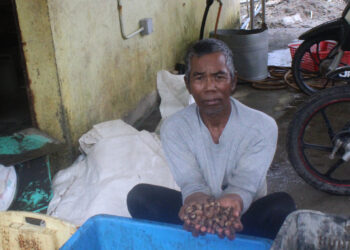 MUSTAFA Mantong menunjukkan kerang yang disauk nelayan di perairan Tampok Laut, Benut, di Pontian, Johor.