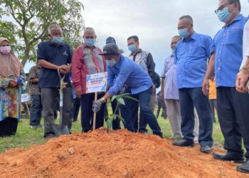 MOHD Fasiah meletak tanda pada anak pokok harumanis yang baru ditanam sempena Program Kempen Membalut Buat Harumanis Perlis Bagi Musim Pengeluaran 2021 di Ladang Harumanis Usahawan Zainol Abidin Ahmad di Kampung Simpang Geti, Mata Ayer, Perlis hari ini.- UTUSAN/NAZLINA NADZARI