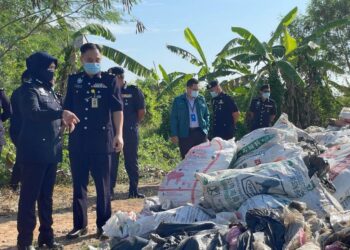 SURINA Saad melihat bungkusan daun ketum yang dilupuskan pada majlis pelupusan barang kes daun ketum di Pondok Polis Kuala Sanglang, Arau, Perlis. - UTUSAN/NAZLINA NADZARI