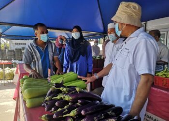 PETANI Fertigasi Ladang Kontrak Fama, Mhd. Jasni Abdul Rahman (kiri) memberi penerangan kepada Che Abdullah Mat Nawi (kanan) di Tawang, Bachok, Kelantan. - UTUSAN/TOREK SULONG