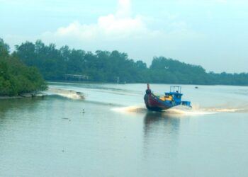 ALUN air yang disebabkan oleh bot yang menyelusuri Sungai Kerian, Nibong Tebal, Pulau Pinang didakwa menjadi antara punca hakisan tebing sungai di kawasan itu.