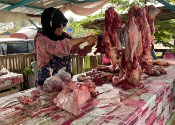 PENIAGA yang menjalankan perniagaan daging lembu menjelang di Pasir Puteh, Kelantan hari ini. -UTUSAN/TOREK SULONG