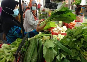 PARA peniaga sayur di sekitar pasar awam Barat Daya, Pulau Pinang kini mengeluh dengan kenaikan mendadak harga sayur khususnya sawi, Pak Choi dan daun bawang yang turut menjejaskan perniagaan mereka.