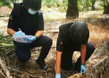 BOM jenis Artillery Meriam 85mm dimusnahkan di Ladang Kelapa Sawit FGV Kledang, Kota Tinggi, Johor.