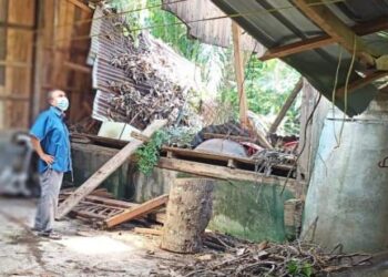 MUSTAPA Long meninjau kerosakan rumah Che Ismail Umat yang rosak teruk ditimpa pokok buah-buahan di Kampung Berhamah di Lipis, Pahang. 
UTUSAN/HARIS FADILAH AHMAD