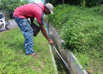 SARIP Sariman menunjukkan kehadiran ulat bulu berwarna hitam yang memenuhi tepi jalan dan longkang di Kampung Geduk Sawah, Tampin sejak Jumaat lalu.-FOTO/NOR AINNA HAMZAH