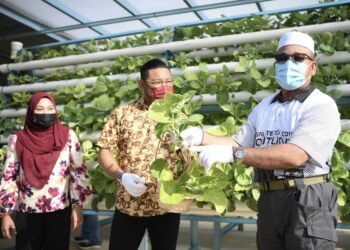 ROZALI Mohamud (kanan) ketika meninjau proses menuai hasil sayur-sayuran yang menggunakan konsep sistem kitaran ekonomi iaitu penggunaan baja daripada sisa domestik di Tasek Gelugor, Pulau Pinang.