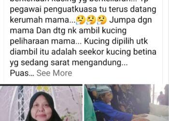 HANTARAN Facebook yang mengaitkan kematian seorang wanita dengan tindakan yang diambil oleh MBSP terhadap kucing miliknya yang menjadi tular di dalam media sosial.