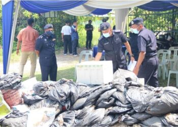 SEBAHAGIAN daripada daun dan cecair ketum yang dirampas polis antara 2015 dan 2020 yang selesai diambil tindakan dilupuskan di tanah rizab PDRM, Jalan Sungai Pinang, Balik Pulau, Pulau Pinang.