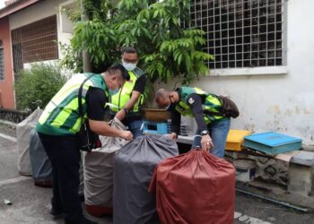 PENGUATKUASA Jabatan Perhilitan Johor menyerbu sebuah premis haiwan peliharaan yang memiliki haiwan liar tanpa kebenaran pihak berkuasa di Taman Kota Masai, Pasir Gudang di Johor.