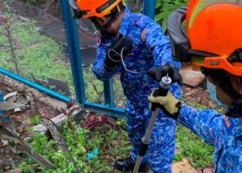 ANGGOTA APM sedang berusaha menangkap ular sawa yang berjaya memasuki reban ayam di sebuah rumah di Seberang Bandar Baru, Kuala Lipis di Lipis, Pahang. -ihsan APM Lipis.