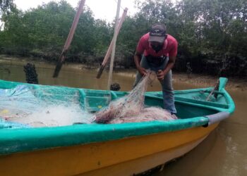 MAHADI Mukti sedang memeriksa keadaan jalanya di jeti nelayan Sungai Yu, Kuala Selangor, Selangor baru-baru ini. - UTUSAN/MOHAMAD NAUFAL MOHAMAD IDRIS