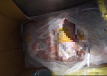 SEBANYAK 28 tan daging kerbau sejuk beku yang diimport dari India dirampas di NBCT, Butterworth, Pulau Pinang selepas didapati menggunakan maklumat sijil halal yang mengelirukan.