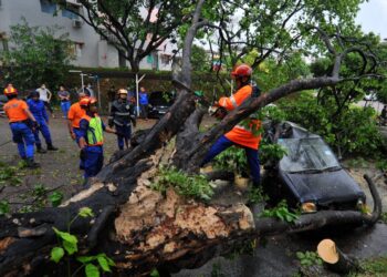 ANGGOTA Angkatan Pertahanan Awam memotong pokok yang tumbang akibat hujan lebat dan angin kencang sehingga mengakibatkan sebuah kereta rosak teruk di Taman Rinting, Masai di Johor. - UTUSAN/RAJA JAAFAR ALI