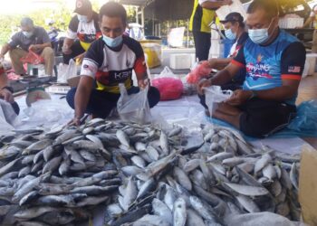 AHLI KBM dan Pemuda UMNO Bahagian Lumut membungkus ikan kembung untuk diagihkan kepada keluarga memerlukan di sekitar daerah Manjung.