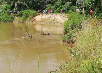 LOKASI dipercayai Muhamad Shahril Hamid terjatuh di Sungai Kuala Pai, Padang Terap.