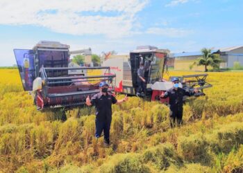 DR. RONALD Kiandee (kiri) dan Ahmad Hamzah ketika meninjau pelaksanaan tanaman padi menerusi kaedah SMART SBB di Felcra Seberang Perak dekat Pasir Salak hari ini.  - UTUSAN/MOHAMAD HAFIZI MOHD. SAID