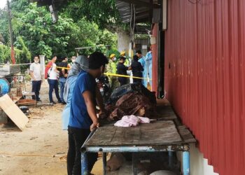 MAYAT Izman Mohamad yang ditemukan lemas di kawasan limbungan bot di Pulau Ketam di Kuala Terengganu, hari ini.