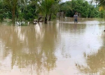 SEORANG penduduk mengharungi  banjir di kampung hutam gelam, tualang, Pokok Sena, Alor Setar hari ini.