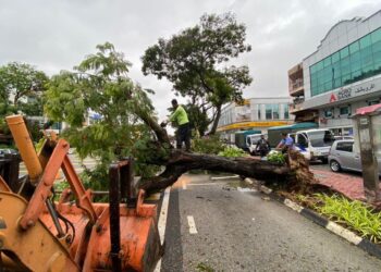 KERJA-KERJA pembersihan pokok-pokok tumbang yang menghalang beberapa jalan utama dilakukan Majlis Bandaraya Kuantan (MBK) berikutan hujan lebat dan angin kencang, sejak kelmarin.