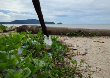 SEBAHAGIAN bekas makanan dan minuman yang dibuang oleh pengunjung di pesisir pantai Tanjung Dawai, Merbok, Sungai Petani. – UTUSAN/NUR SYAZWANA MANSOR