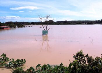 KEADAAN kawasan pertanian yang ditenggelami air akibat bencana banjir di Kampung Lanjut Manis, Alor Gajah, Melaka. - UTUSAN/RASUL AZLI SAMAD