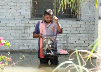 MOHD. Shahrizan Nawawi menyelamatkan kucingnya setelah kediamannya dinaiki air di Kampung Batu 8, Lorong Kedah, Jalan Cangkat Jong, Teluk Intan hari ini. - UTUSAN/ZULFACHRI ZULKIFLI