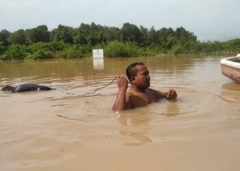 SEORANG penduduk menemukan mayat dalam keadaan terapung di sebuah tali air di Taman SP 18, Desa Salak Pekerti, Sepang, Selangor. - FOTO IHSAN PEMBACA