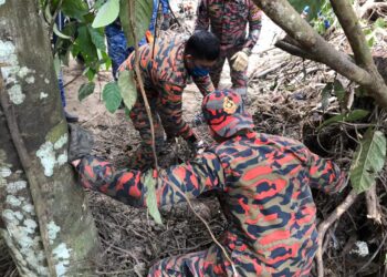 MAYAT seorang pengusaha chalet di Bentong, Pahang ditemukan di bawah timbunan pokok kayu dan pihak bomba mengambil masa 30 minit untuk mengeluarkannya. - FOTO IHSAN JBPM PAHANG