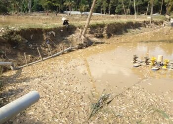 ANTARA kolam ternakan ikan air tawar di Felda Titi, Jelebu yang musnah susulan kejadian banjir yang melanda daerah Jelebu baru-baru ini.-UTUSAN/NURULAZMA SHAFIQAH KHAIRUL AZHAR.