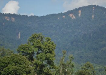 SEREMBAN 28 Dis.- KESAN tanah dan cerun runtuh di Gunung Berembun, Seremban boleh dilihat dari jauh susulan kejadian hujan lebat berterusan baru-baru ini. - UTUSAN/MOHD. SHAHJEHAN MAAMIN