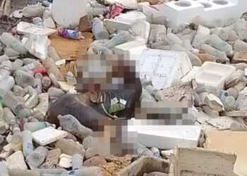 MAYAT seorang wanita dipercayai meninggal dunia sejak tujuh hari lalu ditemukan dalam perangkap sampah di kunci air Sungai Kandis di Shah Alam, Selangor.