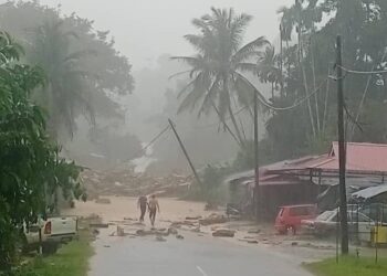 GAMBAR dikongsi warganet yang memaparkan timbunan pokok setelah banjir berlaku di Kampung Iboi dan Kampung Tanjung Luas, Kupang di Baling.