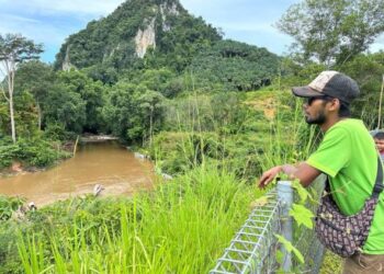 FAHAMIE Qhodrad Sibaweh menunjukkan lokasi gajah betina di Sungai Ketil, berhampiran Projek Perumahan Rakyat (PPR) Gua Musang di Gua Musang, Kelantan.UTUSAN/AIMUNI TUAN LAH