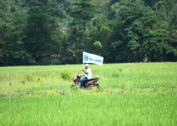 CALON Pejuang DUN Bintong, Mohd. Shazwan Suban berkempen secara solo menaiki motosikal tanpa jentera dari rumah ke rumah sekitar Bintong, Perlis hari ini. -UTUSAN/IZLIZAN OTHMAN