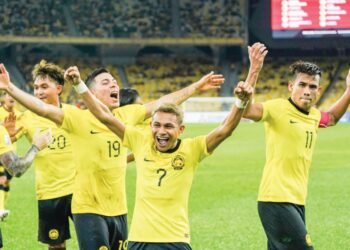 SKUAD Harimau Malaya akan mengharungi sekurang-kurangnya lapan perlawanan dalam kalendar FIFA.