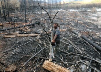 PEKERJA memotong pokok di kampung Cokek, Turki, selepas hutan itu terbakar. - AFP