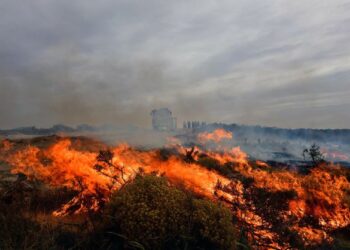 KEBAKARAN hutan yang berlaku di Argentina ketika ini disifatkan seperti ‘malapetaka dunia’. - AFP