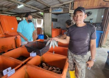 AMIR Shah menunjukkan ikan kembong yang dijual  RM18 sekilogram di  gerainya di Pengkalan Nelayan Sementa di Klang, Selangor.