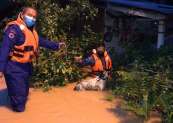 DUA anggota APM berjaya menyelamatkan seekor anjing yang diikat pada tiang rumah di Kampung Pengkalan, Alor Gajah, Melaka.