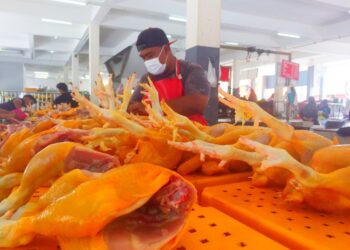 Saranan menteri mengurangkan permintaan terhadap ayam mendapat kritikan kerana sumber protein itu sahaja mampu dibeli rakyat berbanding ikan.