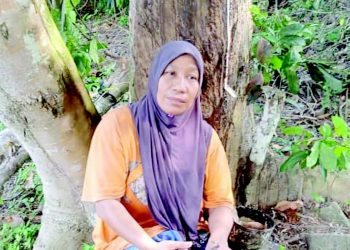 NOR Azizah Nordin dari Kampung Galok Kecil, Temerloh, Pahang
termenung memikirkan nasib diri dan keluarganya ekoran kejatuhan
harga getah pada paras bawah RM2 sekilogram.