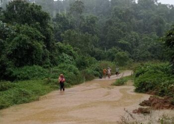 LIMA pekerja pembalakan yang terperangkap di rumah kongsi berhampiran Sungai Kelemin, Hulu Dungun berjaya diselamatkan pasukan penyelamat.