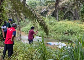 BUNGKUSAN berisi bangkai ayam yang dibuang ke dalam sungai oleh pihak tidak bertanggungjawab di Kampung Lipat Kajang, Kota Tinggi di Johor. -UTUSAN/MASTURAH SURADI